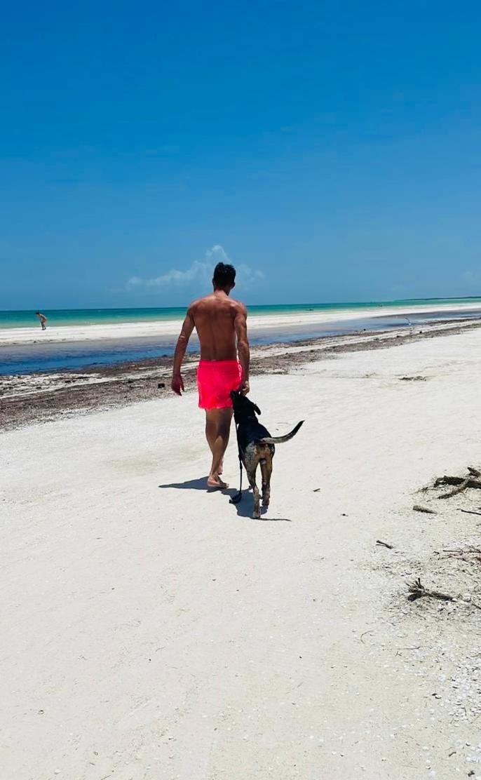 Pachamama Holbox - Hostel & Private Apartments Kültér fotó
