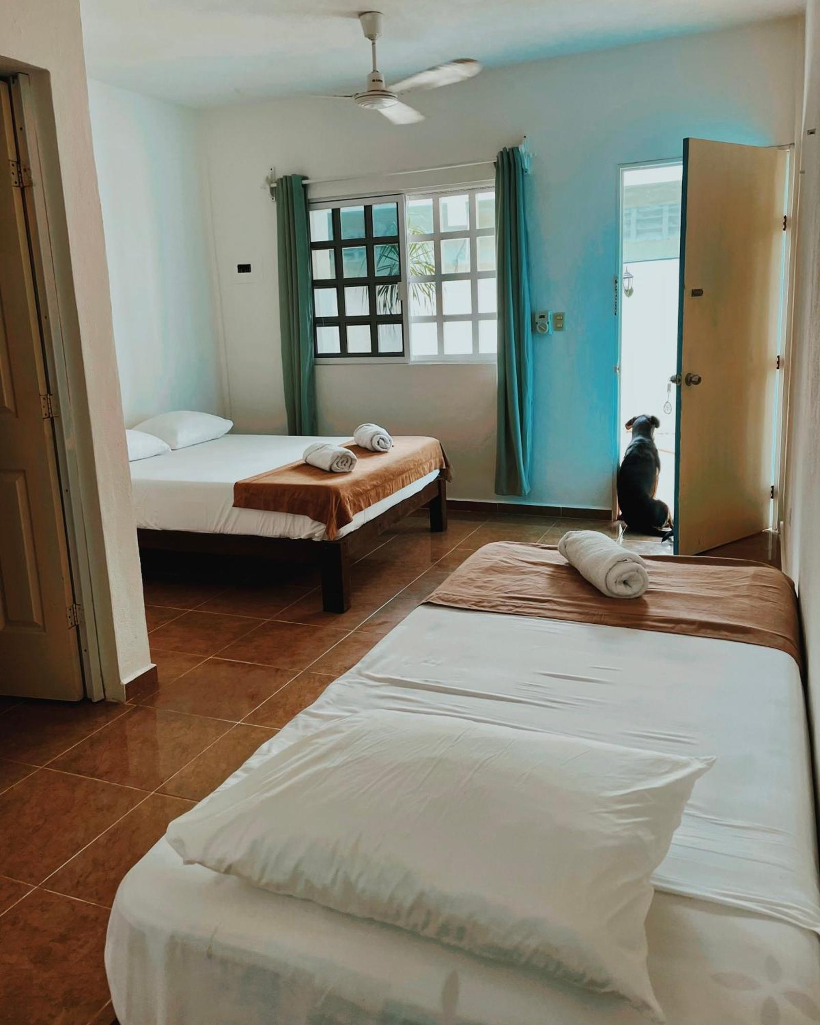 Pachamama Holbox - Hostel & Private Apartments Kültér fotó
